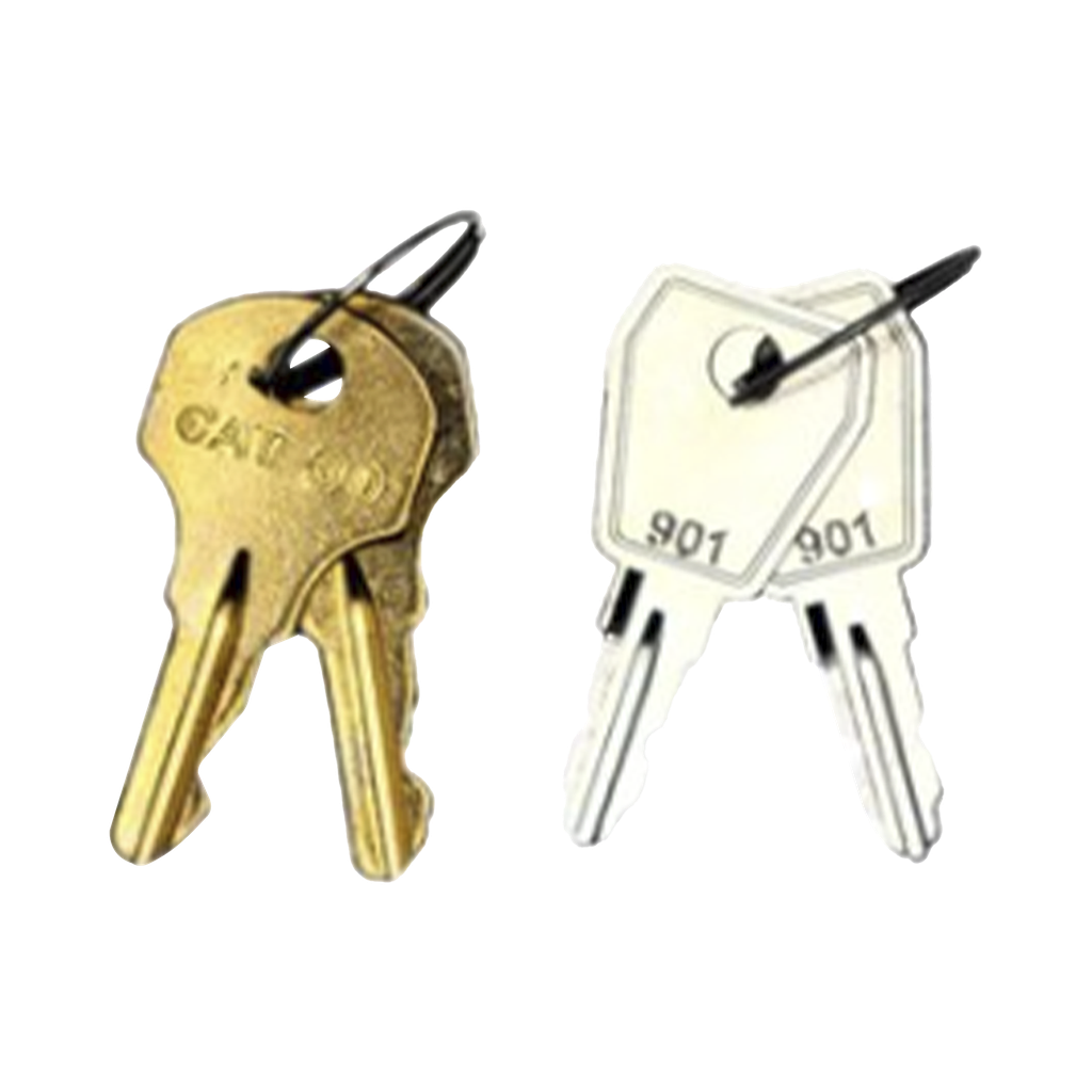 [FN-SKDK/FN-SKCK] Kit De Llaves De Repuesto y Acceso Para Gabinetes FireNet, FireNet Plus y FireNet L@titude (0100-03380)